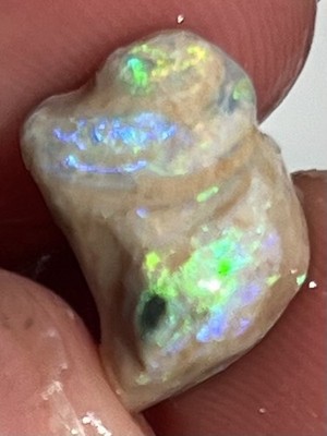 Opal Snail Shell Fossil Lightning Ridge Australian Opals Fossils Specimen Rare