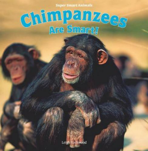 Bonobo  Ugly animals, Monkeys funny, Funny animals