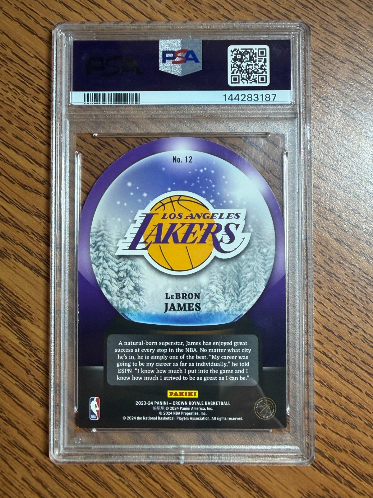 2023 Crown Royale LeBron James Snow Globe Silver Int'l /18 PSA 8 Lakers SSP view 2