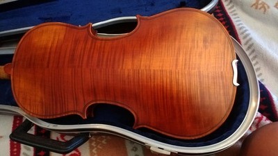 5 Saiter Bratsche Quinton Viola 40cm Stentor Arcadia