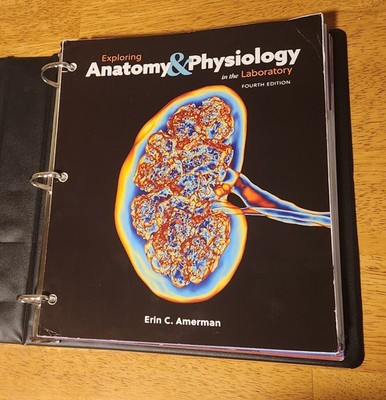 Amerman Exploring Anatomy & Physiology in the Laboratory 4th 2018 Ringbound