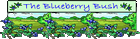 The Blueberry Bush