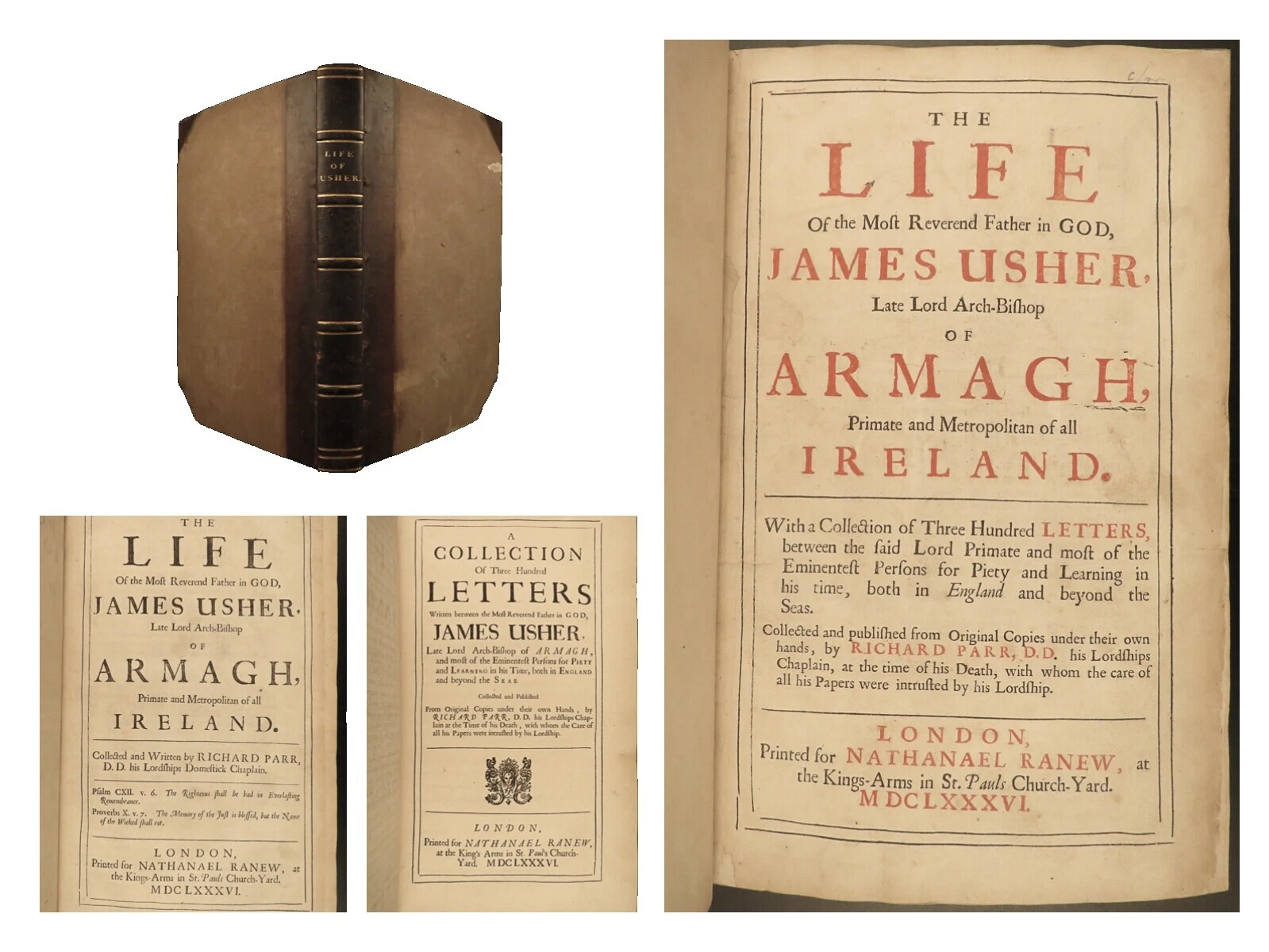 Leather Antiquarian & Collectible Books in Irish