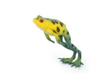 American Tree Frog Green and Yellow Toy Realistic Figure Model 3.5" F4402