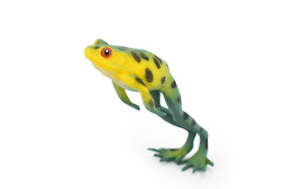 American Tree Frog Green and Yellow Toy Realistic Figure Model 3.5'' F4402