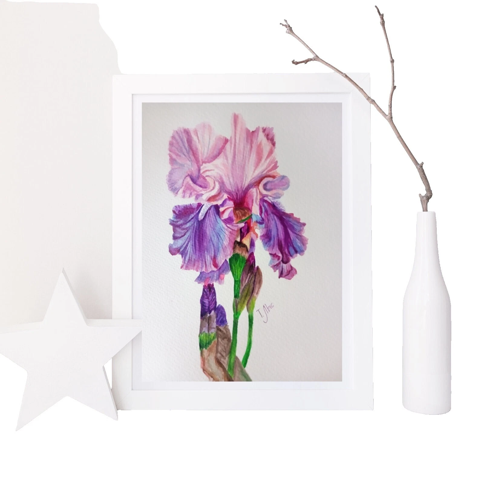 Pinturas de arte botánico minimalismo