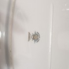 Noritake China Bluebell 16" LG Oval Serving Platter- Pattern 5558- Platinum Trim — photo 8