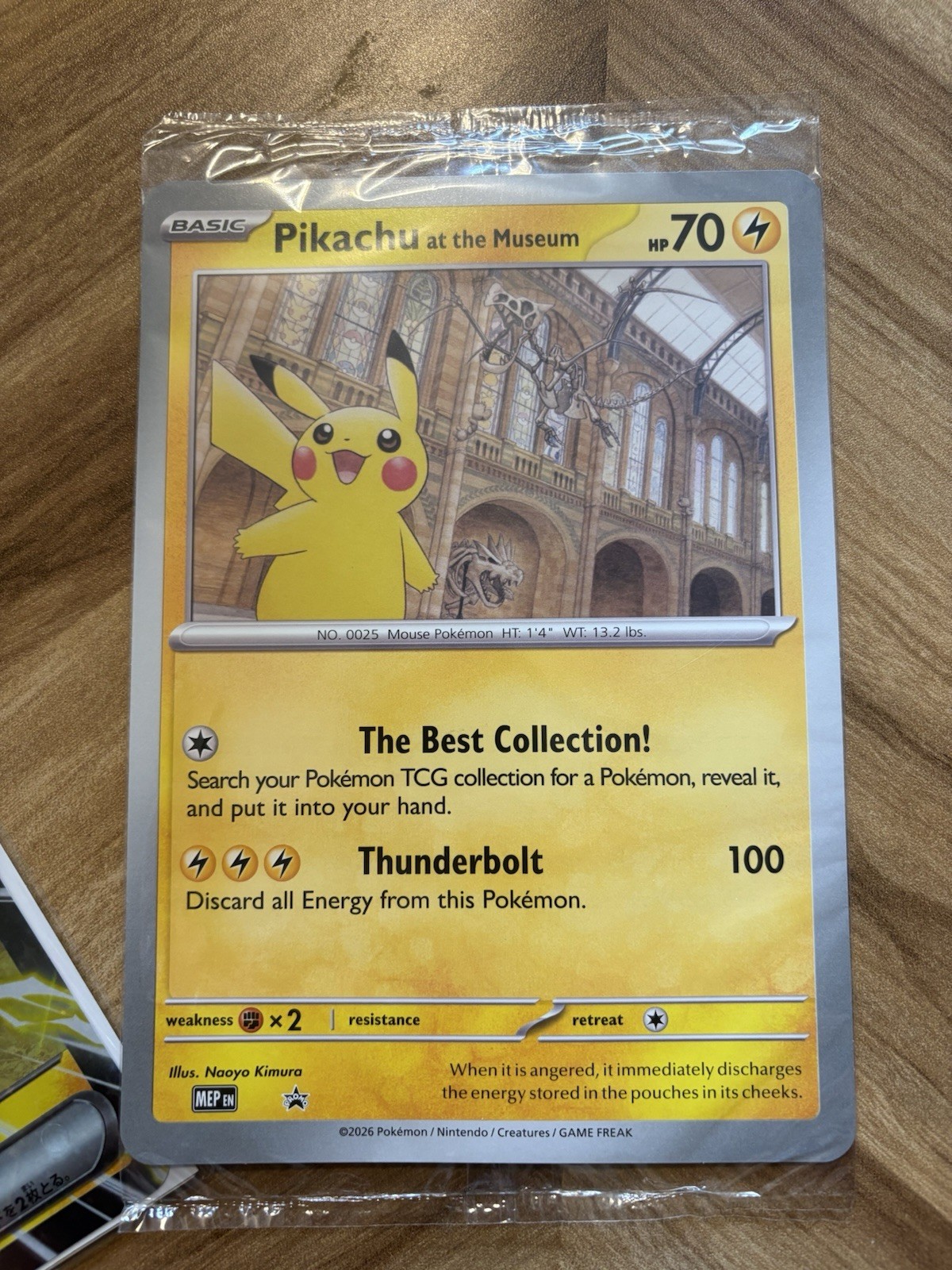 Pokémon TCG Pikachu Pokemon Promo. Pikachu At The Museum Jumbo Card Sealed New