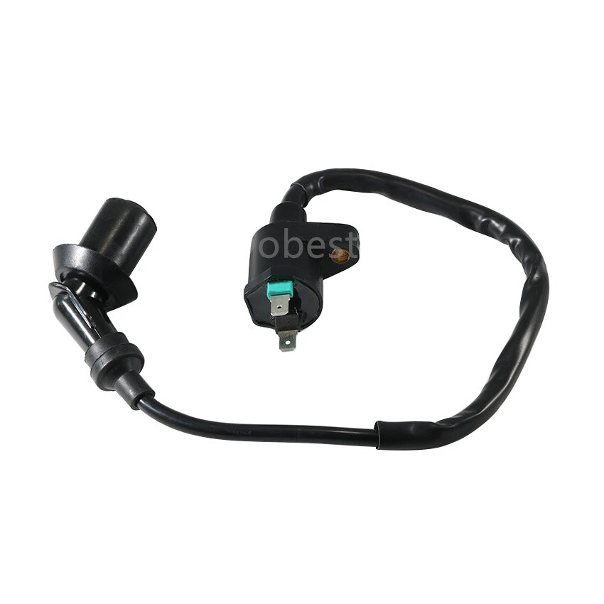 Bobina de encendido QuadRunner 1990-07 para Suzuki DR125 1982-1984 GS125 99-00 LT-F160 Foto 4 de 4