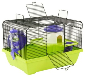 purple hamster wheel