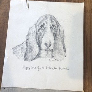 original basset hound