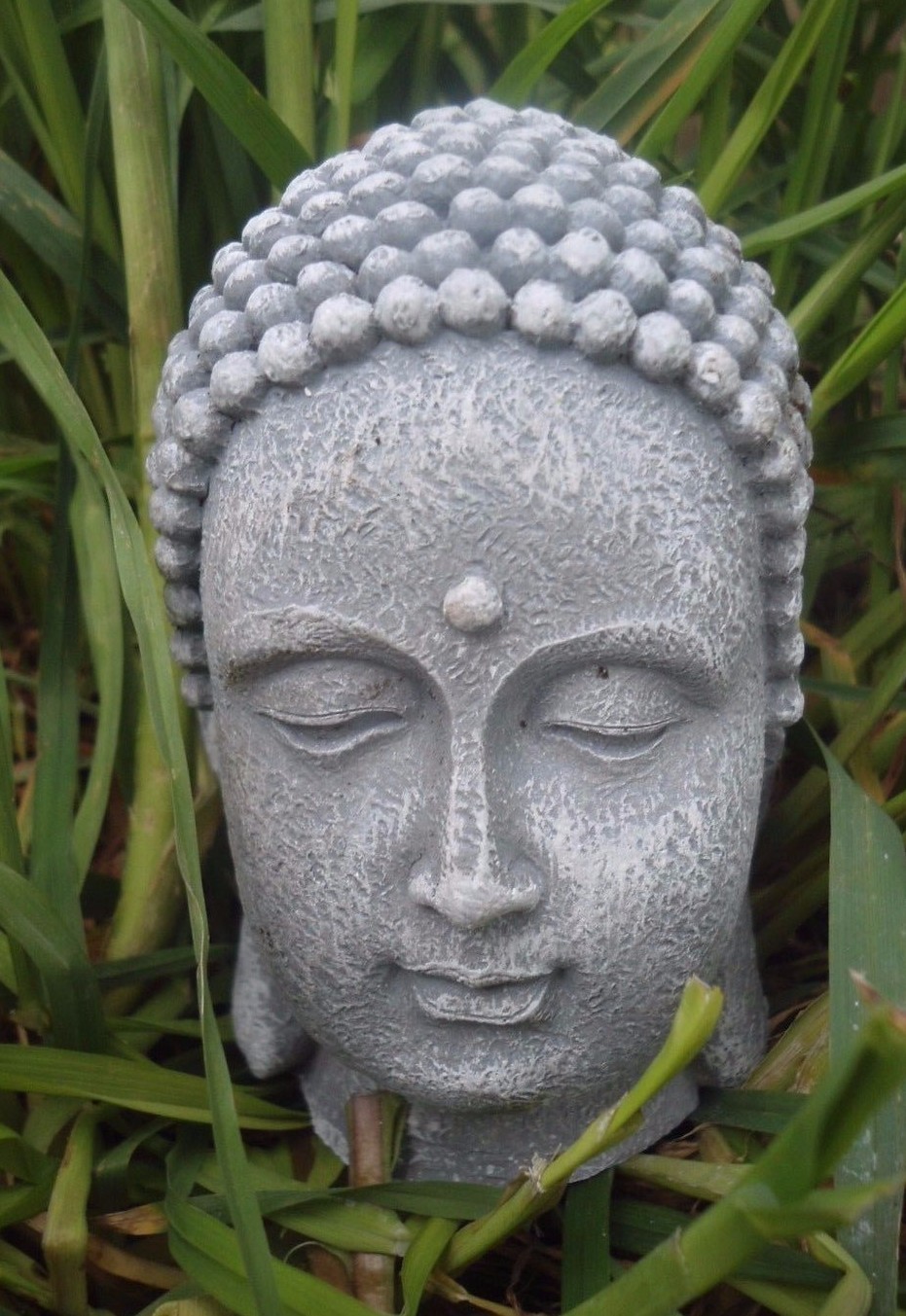 Latex buddha bust mold concrete plaster mould 4 Latex buddha bust mold concrete plaster mould 4