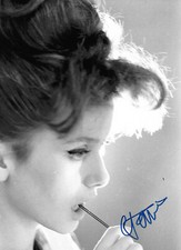 Catherine Deneuve autograph signed 20x28 cm picture B/W