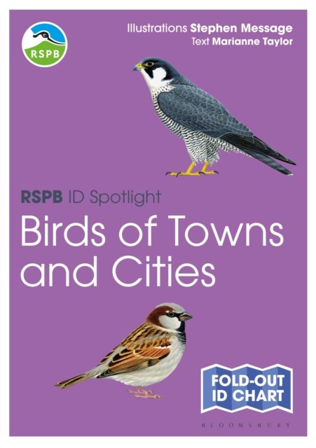 RSPB ID Spotlight - Birds of Towns by Marianne TaylorStephen Me - PB - 2025 - Image 5