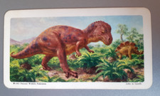 DINOSAURS (Canadian Issue) #14 - VINTAGE/RARE (1971) - Excellent condition