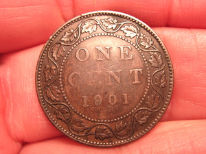 1901 CANADIAN LARGE CENT, FREE SHIPPING (#767D)