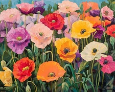 Garden with vibrant poppies oil painting 8x10 Print