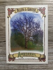 2021 Topps Allen & Ginter Arboreal Appreciation Insert - Horse Chestnut - AA-6