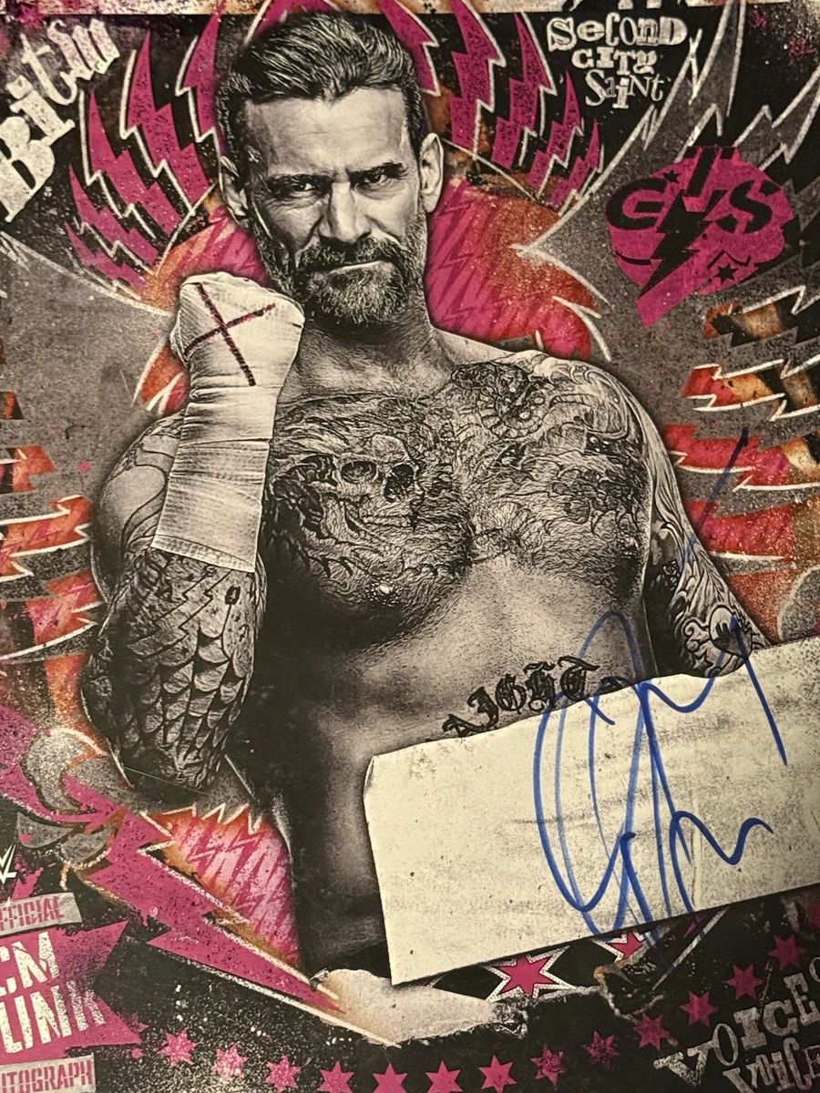 CM Punk WWE Wrestling Original Autographed Photos for sale | eBay