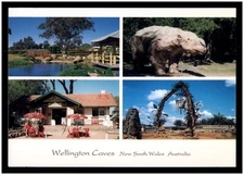 Postcard RPPC (Murray Views) - Wellington Caves, N.S.W
