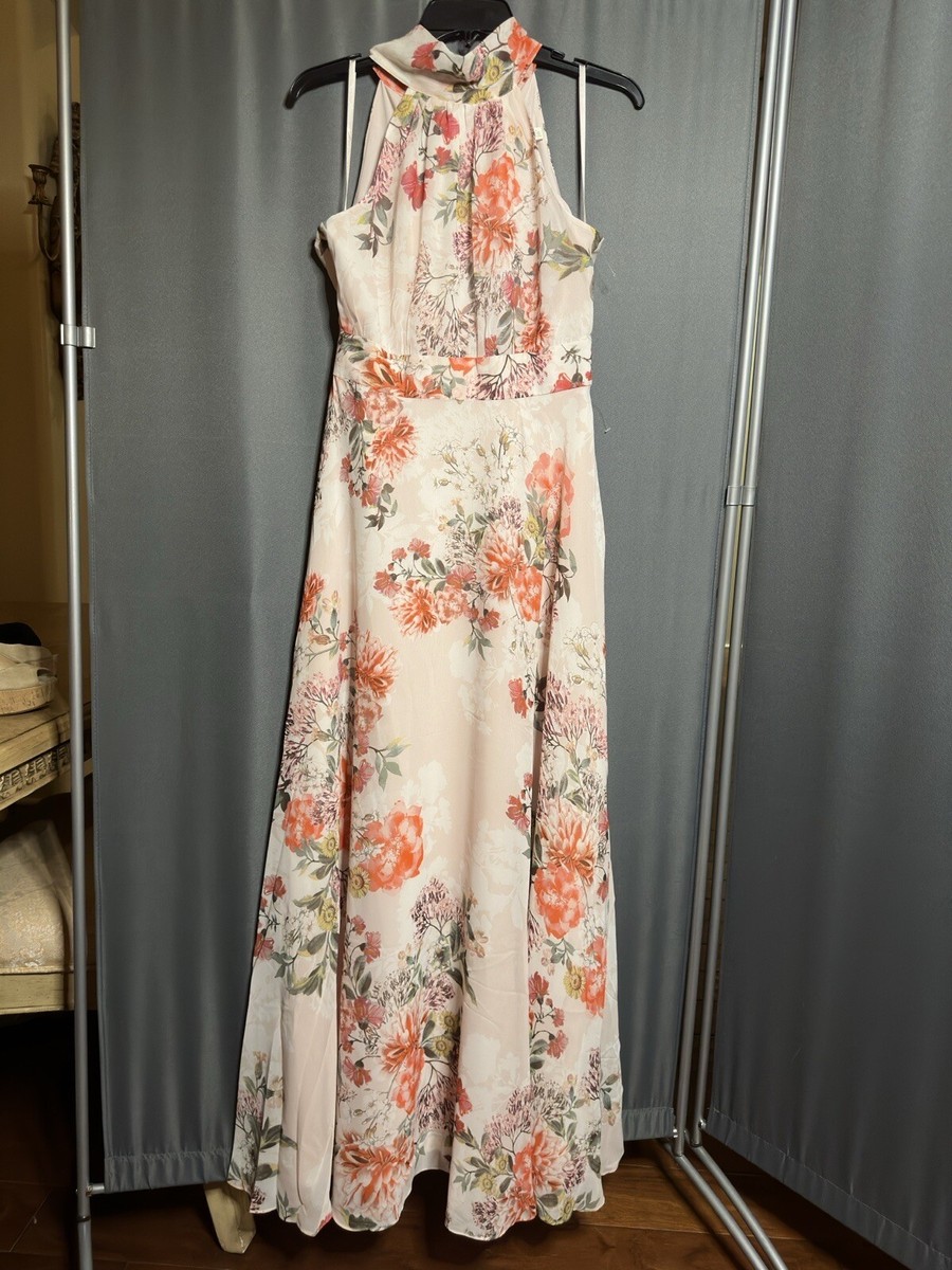 Eliza J Printed Chiffon Fully Lined Maxi Dress, Sz 4, New | eBay