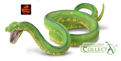 Green Tree Python Schlange Spielzeug Modell Figur von CollectA 88962 Neu