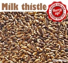 MILK THISTLE SEEDS  40g - 490g (1.4 - 17.2oz) - SILYBUM MARIANUM DRIED HERB TEA