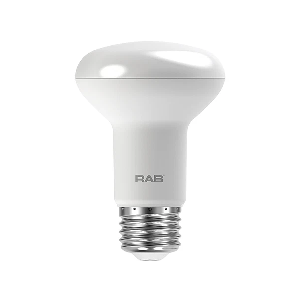 R20 bulb led deals