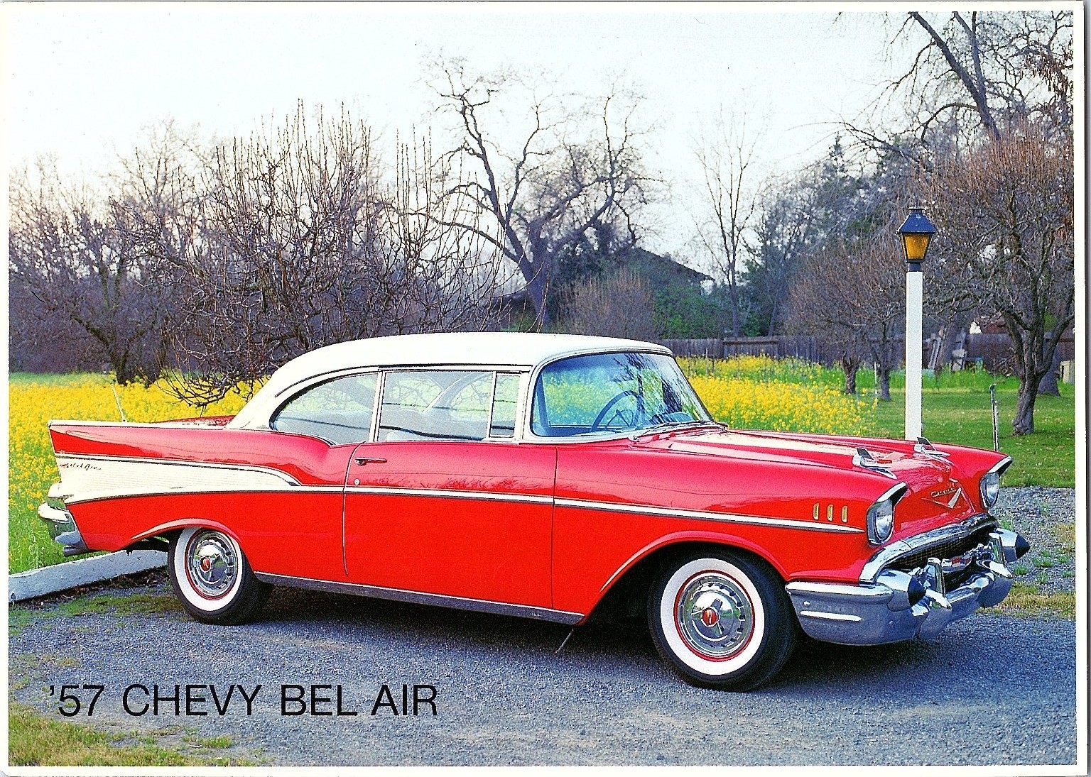 1957 Chevy Bel Air Red & White Classic Car Oversize Postcard