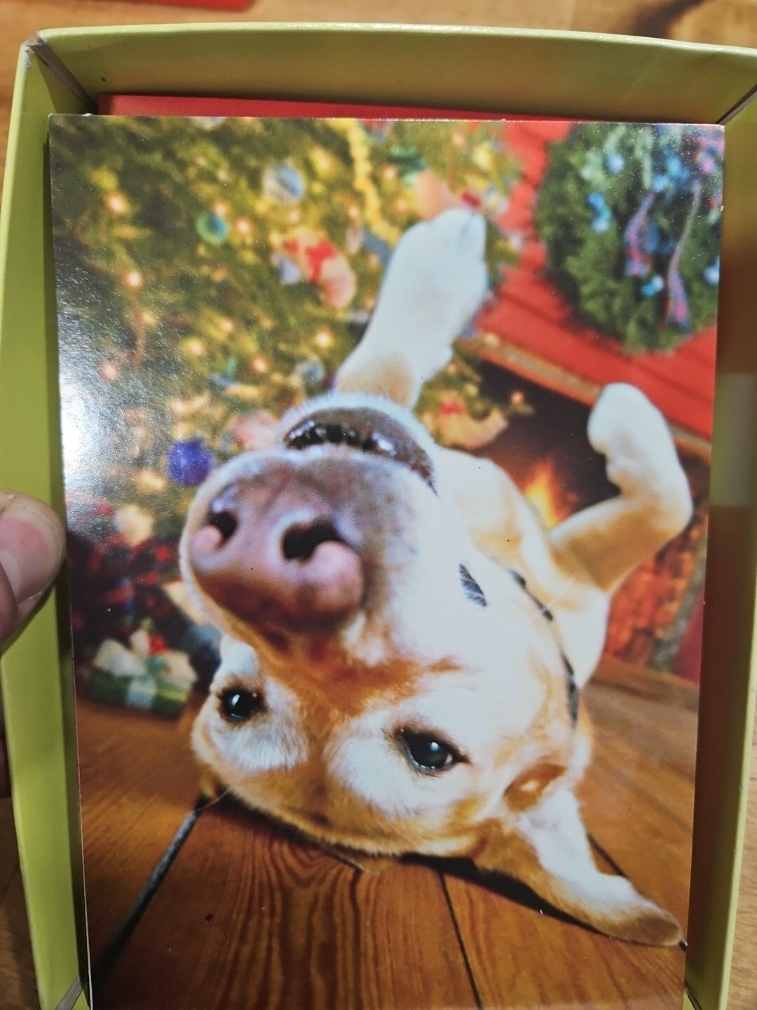 Funny dog Christmas cards 18 Hallmark Complete | eBay