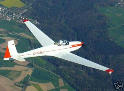 ASK-14 Schleicher Glider Airplane Wood Model Big