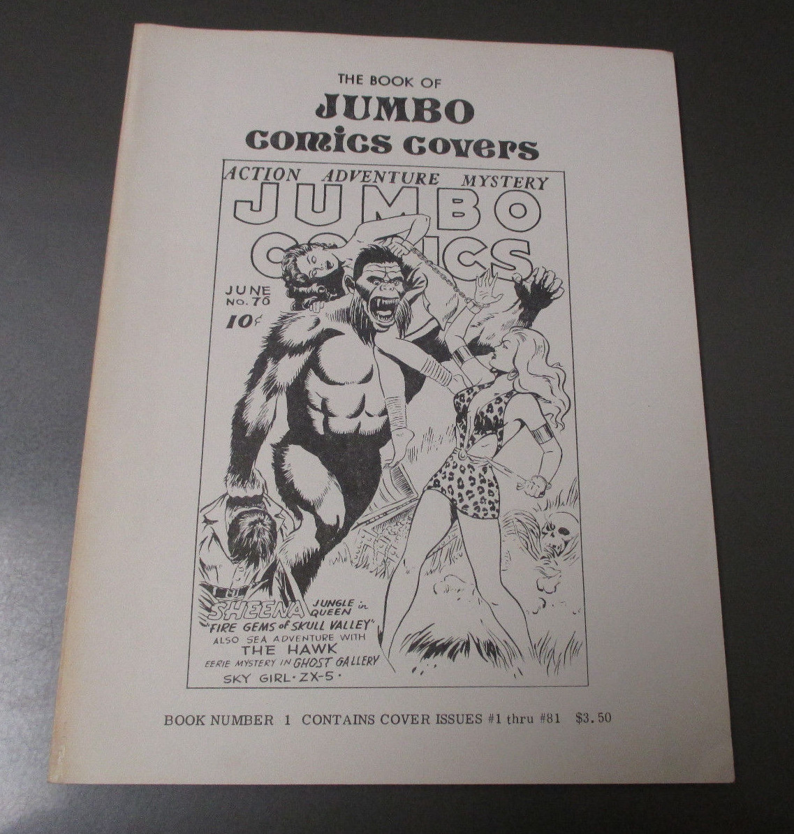 専用1 1979 The Book of JUMBO Comics Covers #1 VF Dellinges Fanzine