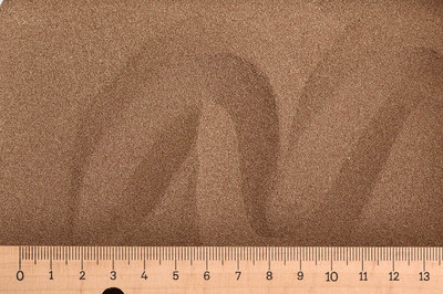 (Gp 135,00  /kg) - 1,1 kg Artemia Eier - 80% Schlupfrate - Artemia Selina
