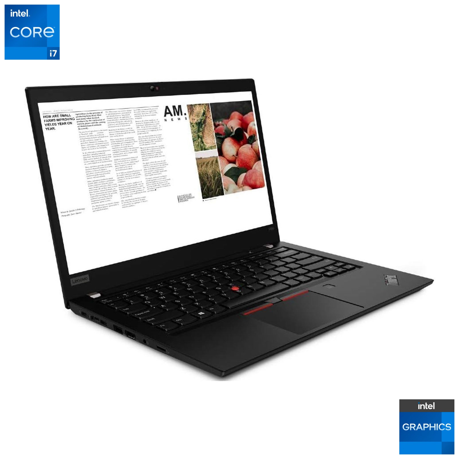 Lenovo ThinkPad T490 Laptop: Intel Core i7-8665U, 16GB RAM, 256GB SSD, Warranty