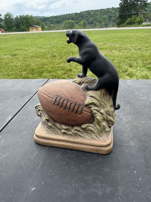 Football Panther Hand Painted
