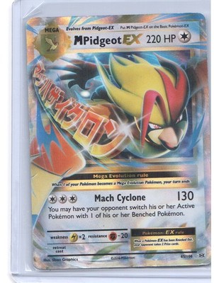 M Pidgeot EX [EVO - 65/108]
