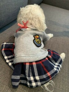 ebay small dog clothes