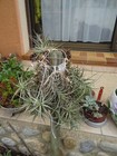 Foto 21 di 24