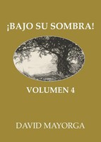 Bajo Su Sombra Volumen 4 David Mayorga Taschenbuch Spanisch 2024 David Mayorga