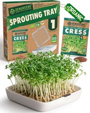 ZenGreens® Plateau de Germination Céramique avec Tamis Inox & Graines Bio