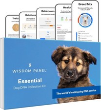 Wisdom Panel Essential Dog DNA Test Kit Breed ID Ancestry 25+ Genetic Conditions