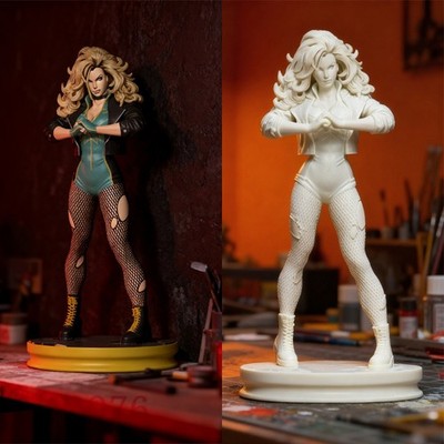 Black Canary 3D Printing Figure Unpainted Model Sculpture Blank Kit Statue New
