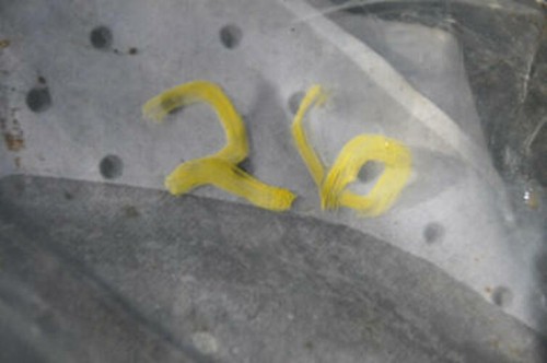 1) DH-26 BMW 33321130351 OEM Used PUSH ROD REAR SUSPENSION 33321130352 From: - Picture 3 of 6