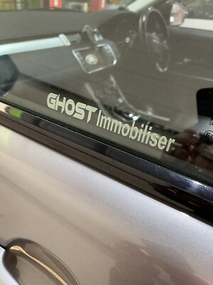 Fantasma Triste, Adesivo In Vinile Di Halloween Per Finestra, Auto, Camion, Furgone, Ecc. - Italia - Foto 6