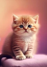 A Cute Kitten PREMIUM POSTER FILM PRINT HIGH QUALITY Thick paper