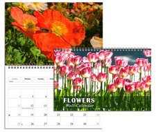 2027 Spiral-bound Wall Calendar Flowers - 12 Months Desktop 11x17 