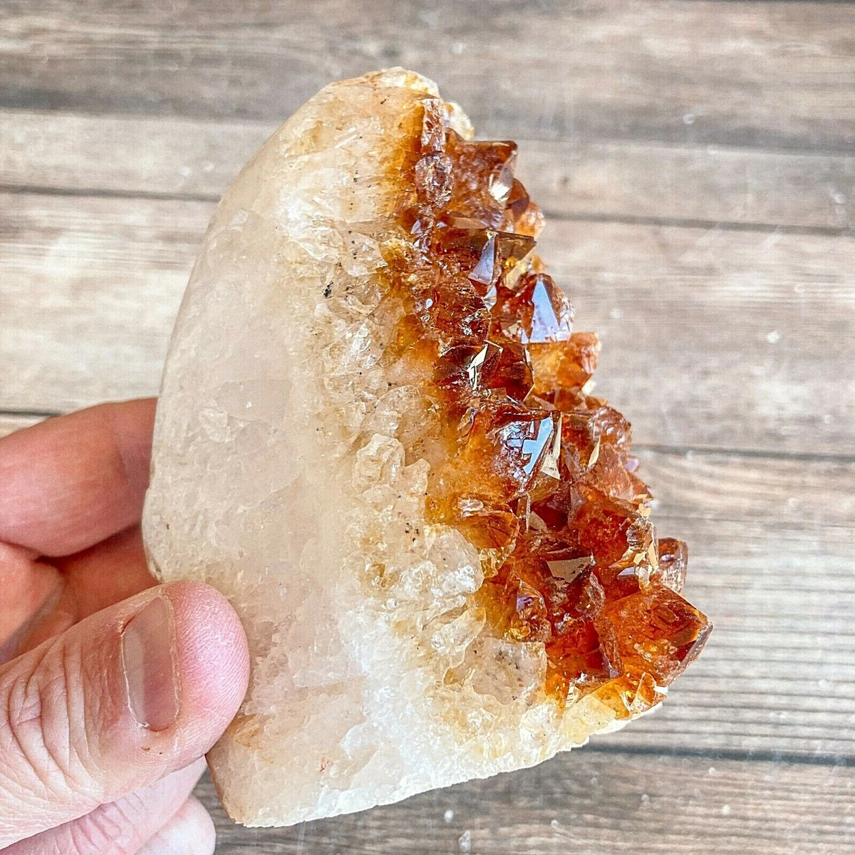Citrine Geode Crystal 1 lb 2.3 oz 518 g Polished Face 3.8