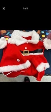 dog Santa Claus Outfit Outfits