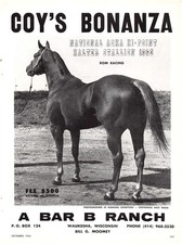 Coys Bonanza A Bar B Ranch Waukesha Wisconsin Aqha Stallion 1964 Vtg Magazine Ad Coys Bonanza A Bar B Ranch Waukesha Wisconsin Aqha Stallion 1964 Vtg Magazine Ad