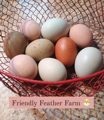 8+2 Beautiful Fertile Rainbow Eggs for Hatching..Rare breeds.Speckled Eggs! 